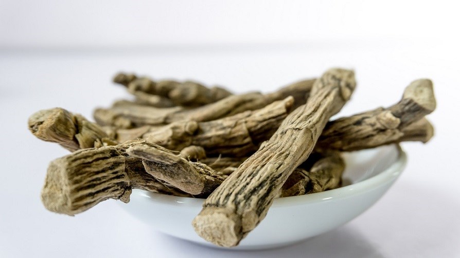 Picture of what ashwagandha root looks like.