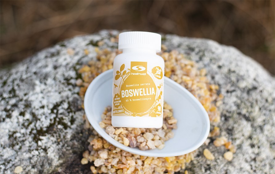 Boswellia jar lying in a bowl of resin.