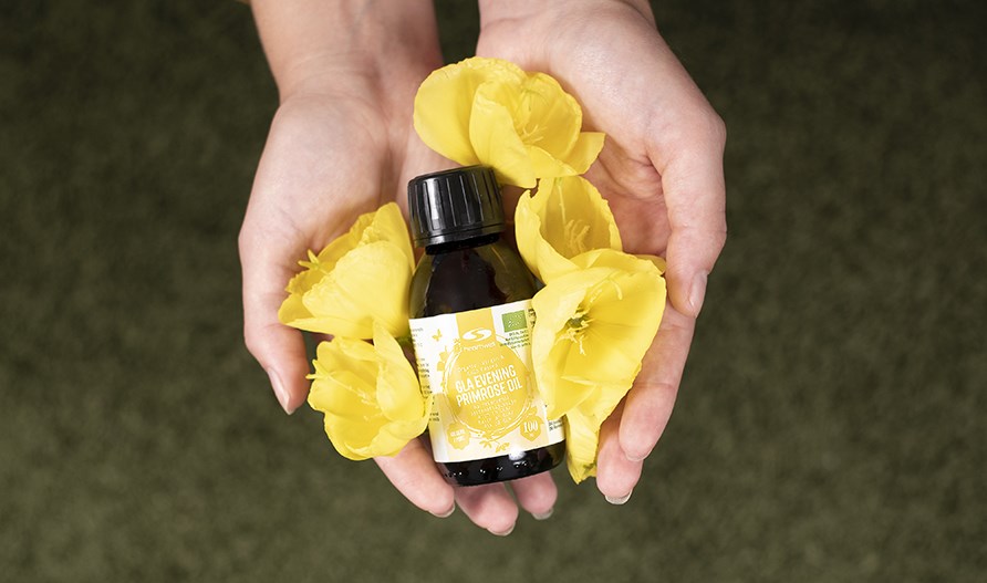 Hands holding large-flowered evening primroses and giant evening primrose oil.