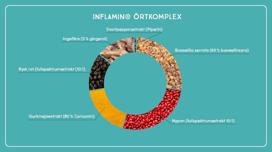 Illustration of extracts of plants and herbs in Inflamin Premium.