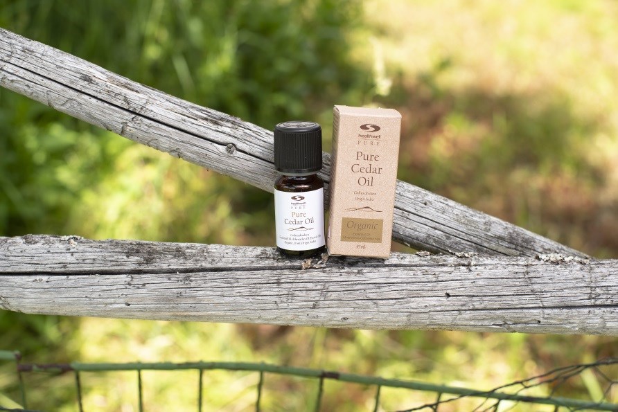 pure cedar oil with cardboard stands on a branch.