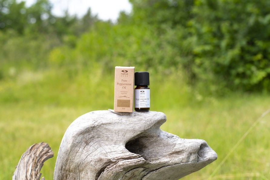 Pure Peppermint oil sitting on a branch in a meadow.